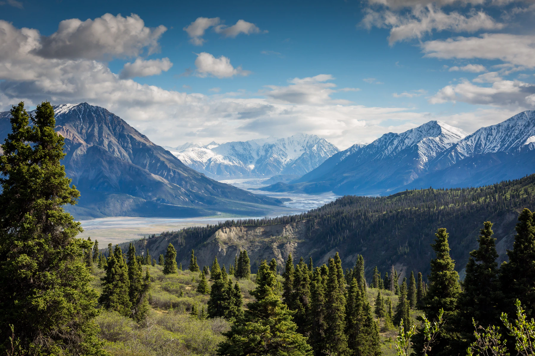 A forested mountain valley beneath snowy peaks and a blue sky